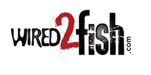 Wired 2 Fish